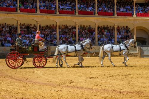 2022-09-04@124537000ENGANCHES-RONDA-PLAZA-DE-TOROS-