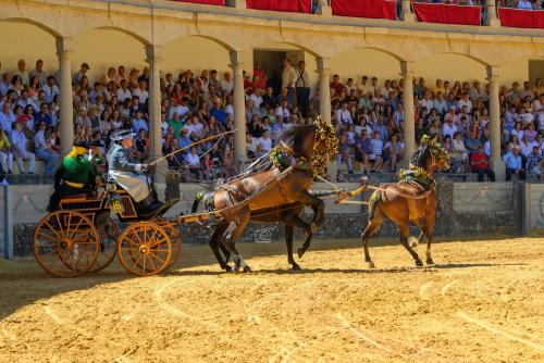 2022-09-04@124548000ENGANCHES-RONDA-PLAZA-DE-TOROS-