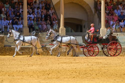 2022-09-04@124616000ENGANCHES-RONDA-PLAZA-DE-TOROS-