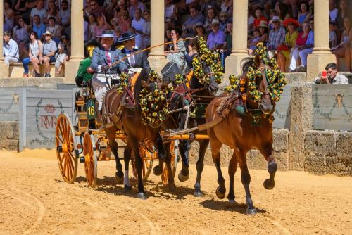 2022-09-04@124625000ENGANCHES-RONDA-PLAZA-DE-TOROS-