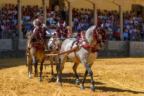 2022-09-04@124628000ENGANCHES-RONDA-PLAZA-DE-TOROS-