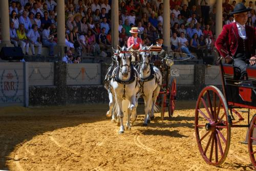 2022-09-04@124631000ENGANCHES-RONDA-PLAZA-DE-TOROS-