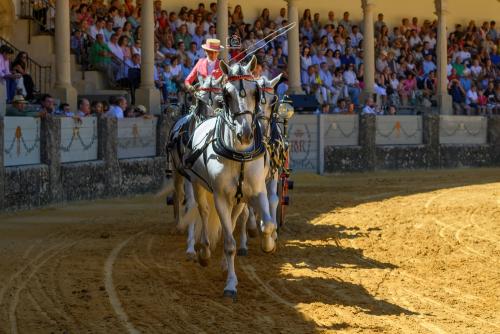 2022-09-04@124831000ENGANCHES-RONDA-PLAZA-DE-TOROS-