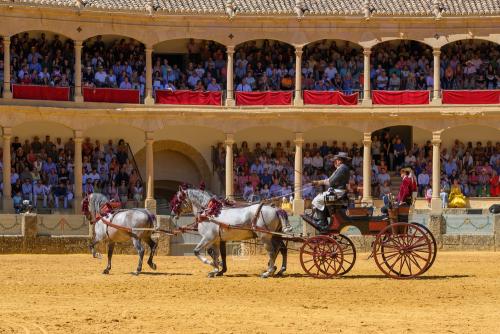 2022-09-04@124839000ENGANCHES-RONDA-PLAZA-DE-TOROS-