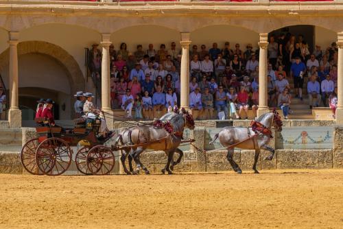 2022-09-04@124853000ENGANCHES-RONDA-PLAZA-DE-TOROS-