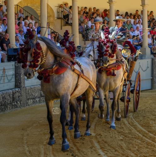2022-09-04@125119000ENGANCHES-RONDA-PLAZA-DE-TOROS-
