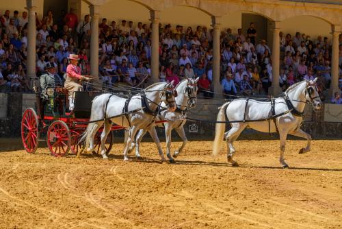 2022-09-04@125135000ENGANCHES-RONDA-PLAZA-DE-TOROS-