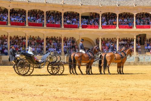2022-09-04@125431000ENGANCHES-RONDA-PLAZA-DE-TOROS-