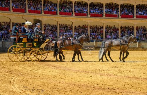 2022-09-04@125504000ENGANCHES-RONDA-PLAZA-DE-TOROS-