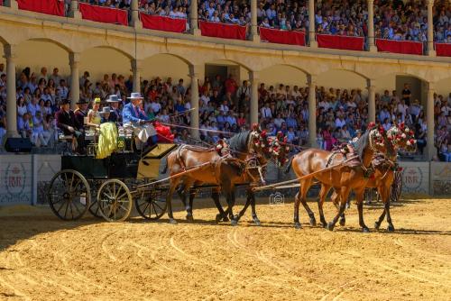 2022-09-04@125517000ENGANCHES-RONDA-PLAZA-DE-TOROS-