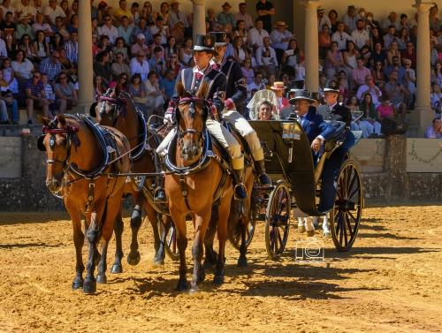 2022-09-04@125532000ENGANCHES-RONDA-PLAZA-DE-TOROS-