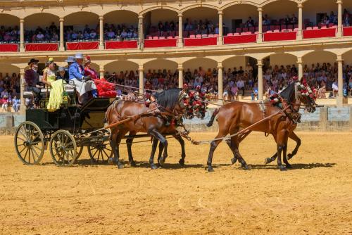 2022-09-04@125552000ENGANCHES-RONDA-PLAZA-DE-TOROS-