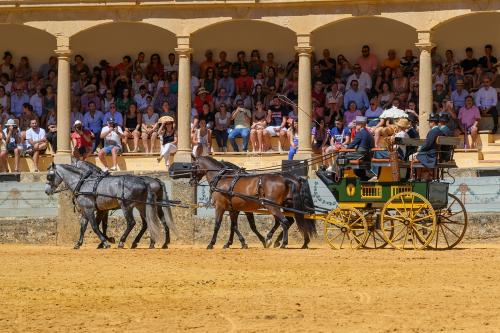 2022-09-04@125611000ENGANCHES-RONDA-PLAZA-DE-TOROS-