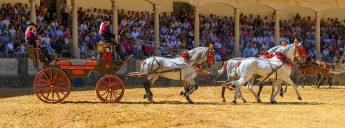 2022-09-04@130435000ENGANCHES-RONDA-PLAZA-DE-TOROS-