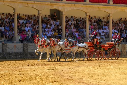 2022-09-04@130551000ENGANCHES-RONDA-PLAZA-DE-TOROS-