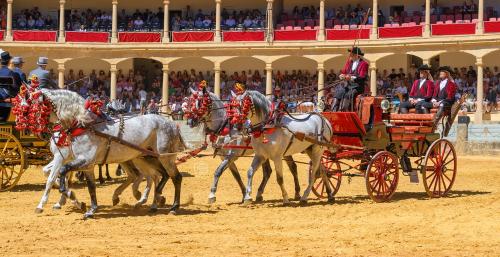 2022-09-04@130656000ENGANCHES-RONDA-PLAZA-DE-TOROS-