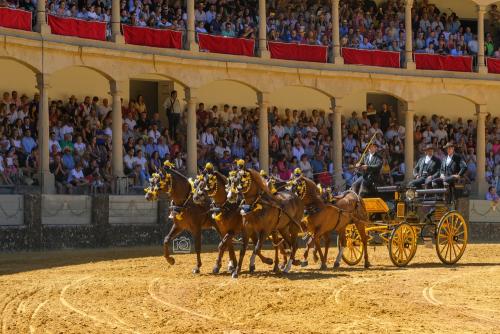 2022-09-04@130712000ENGANCHES-RONDA-PLAZA-DE-TOROS-