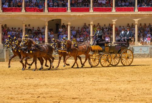 2022-09-04@130822000ENGANCHES-RONDA-PLAZA-DE-TOROS-