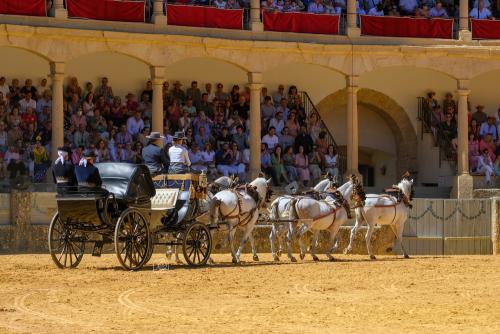 2022-09-04@131528000ENGANCHES-RONDA-PLAZA-DE-TOROS-