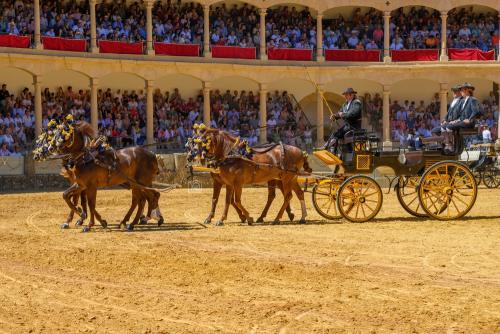 2022-09-04@131534000ENGANCHES-RONDA-PLAZA-DE-TOROS-