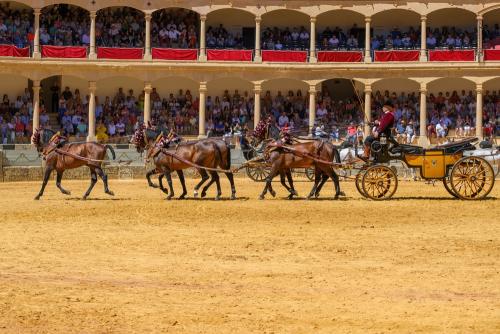 2022-09-04@131539000ENGANCHES-RONDA-PLAZA-DE-TOROS-