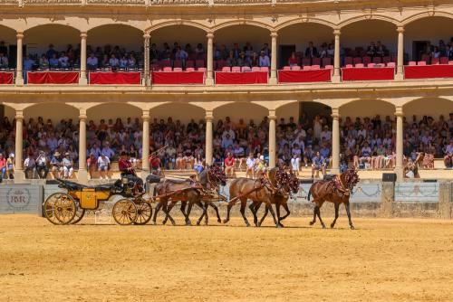 2022-09-04@131552000ENGANCHES-RONDA-PLAZA-DE-TOROS-1-