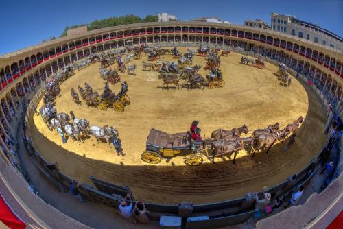 2022-09-04@134402000CARRUSEL-ENGANCHES-RONDA-PLAZA-DE-TOROSAnd2more-