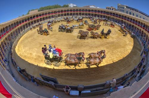 2022-09-04@134507000CARRUSEL-ENGANCHES-RONDA-PLAZA-DE-TOROSAnd2more-