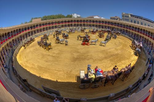 2022-09-04@134731000CARRUSEL-ENGANCHES-RONDA-PLAZA-DE-TOROS-1 -2 .dng-