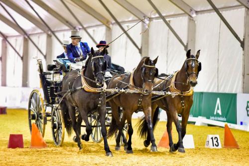 Campeon-de-la-Copa-ANCCE-El-Molino-de-Enganches-de-Tradición-en-Potencia,-Jacinto-Planas.