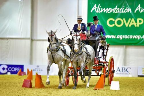 Campeon-de-la-Copa-ANCCE-El-Molino-de-Enganches-de-Tradición-en-Tronco,-Raul-Aragon.