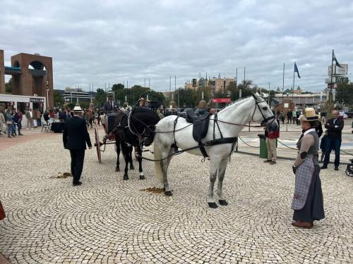 FB_IMG_1732268054472