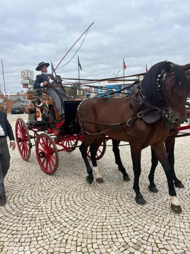 FB_IMG_1732268096463