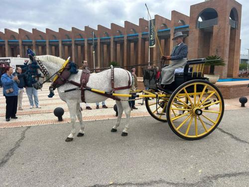 FB_IMG_1732268113703