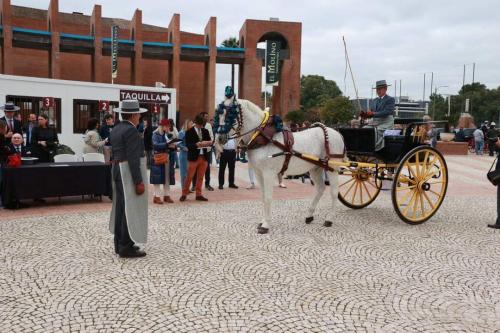 FB_IMG_1732268125657