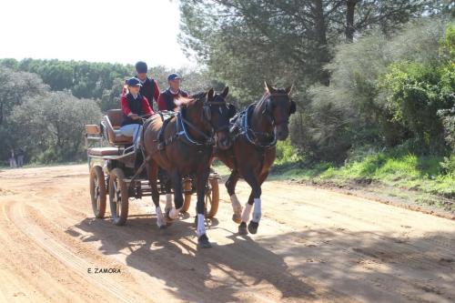 FB_IMG_1741243062234