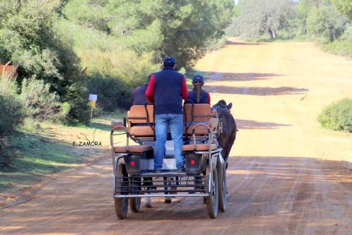 FB_IMG_1741243064707