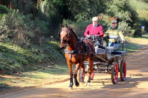 FB_IMG_1741243067181