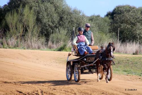 FB_IMG_1741243069493