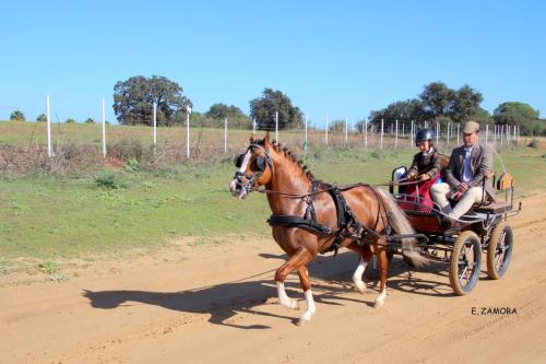 FB_IMG_1741243085217