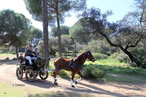 FB_IMG_1741243110633