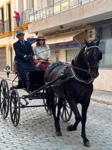 Parada Hipica Jerez 4