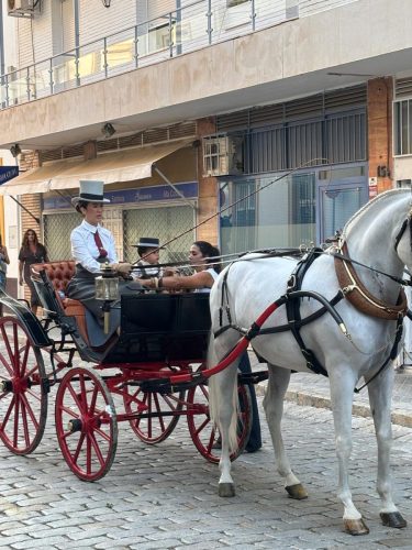 Parada Hipica Jerez 7