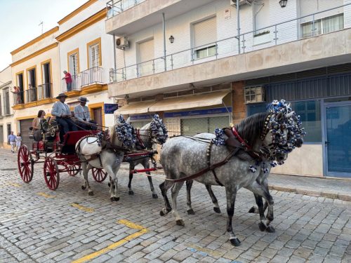 Parada Hipica Jerez 8