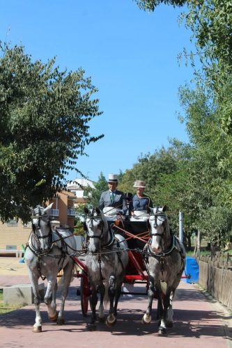 UnaParaenGines2025-2