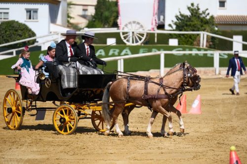 UnaParaenGines2025-6