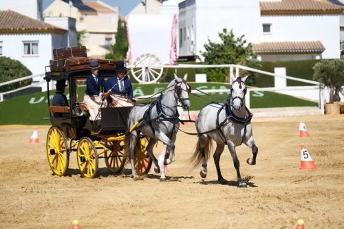 UnaParaenGines2025-8